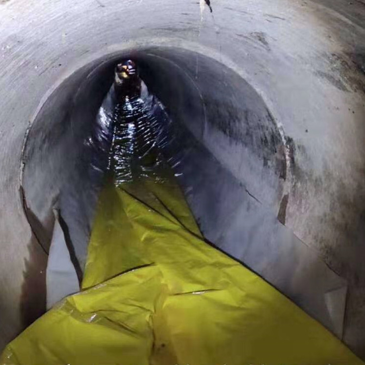 鄱阳管道光固化修复